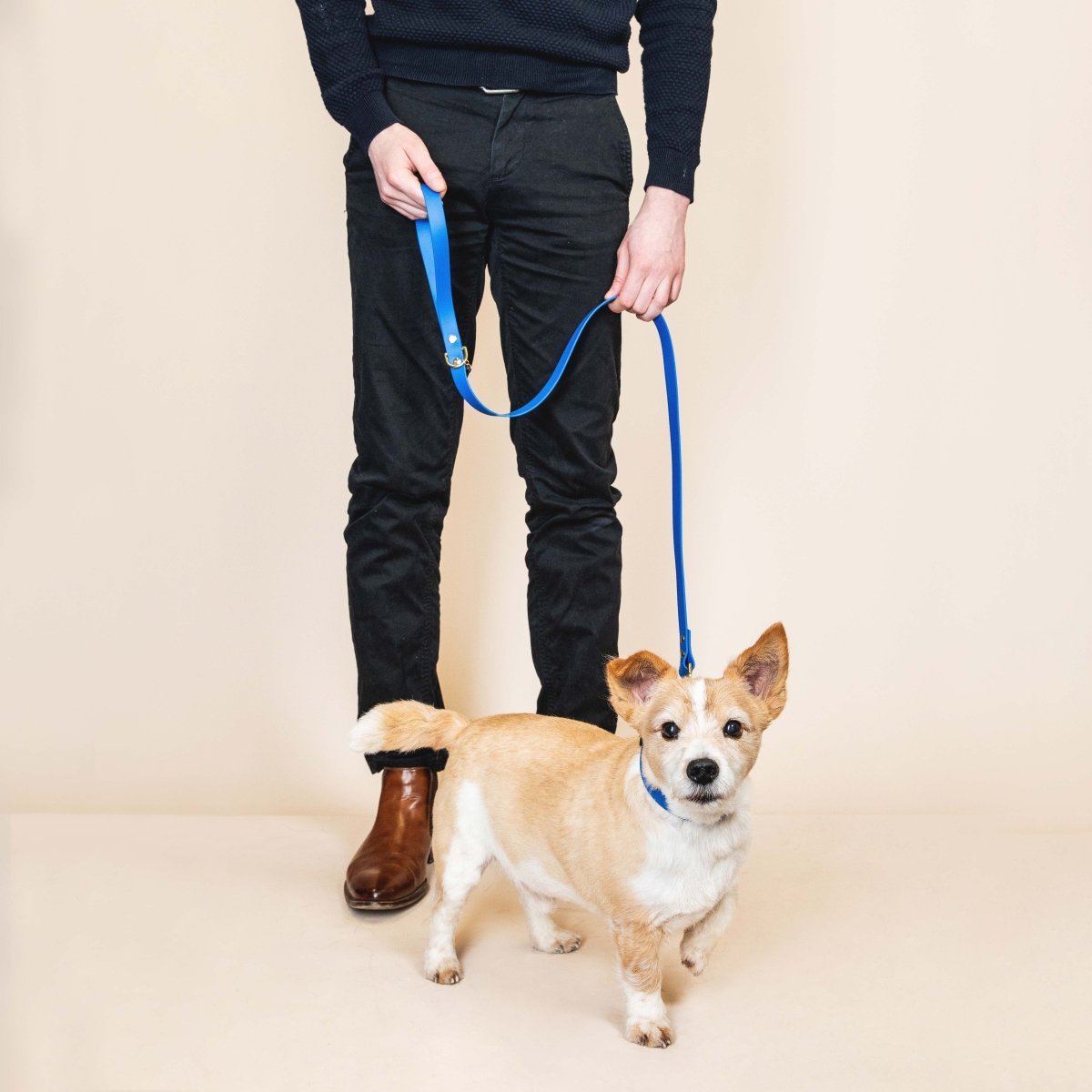 fid-le-l-aventurier-laisse-chien-bleu-roi-20-mm-imperm-able image 2