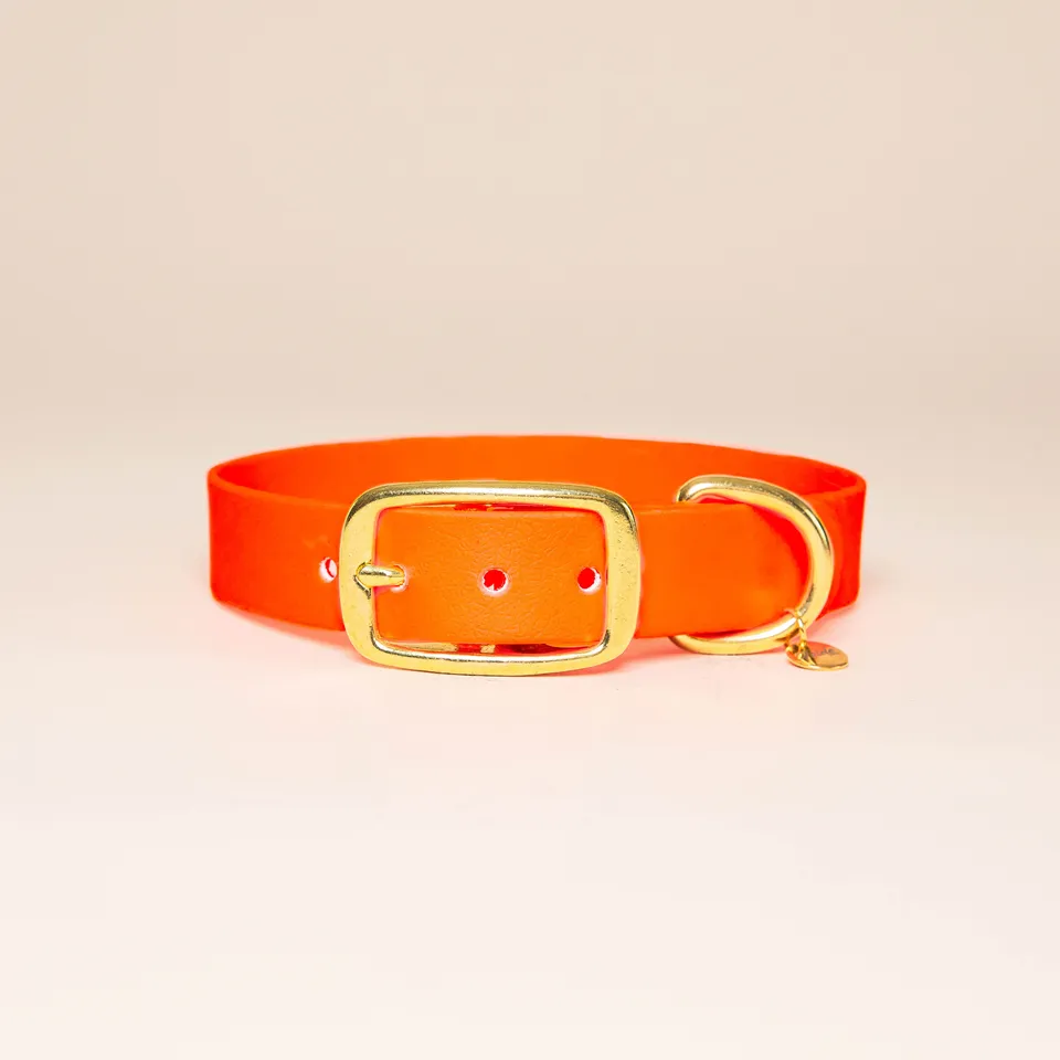 fid-le-paris-l-aventurier-collier-chien-orange-fluo-imperm-able image 1