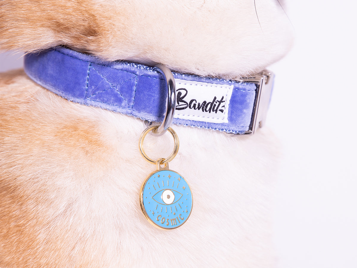 bandit-m-daille-cosmique-m-daille-chien-standard-3-cm-il image 3