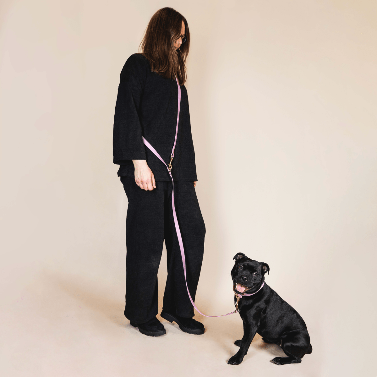 fid-le-paris-laisse-multi-positions-chien-lilas-bandouli-re image 2