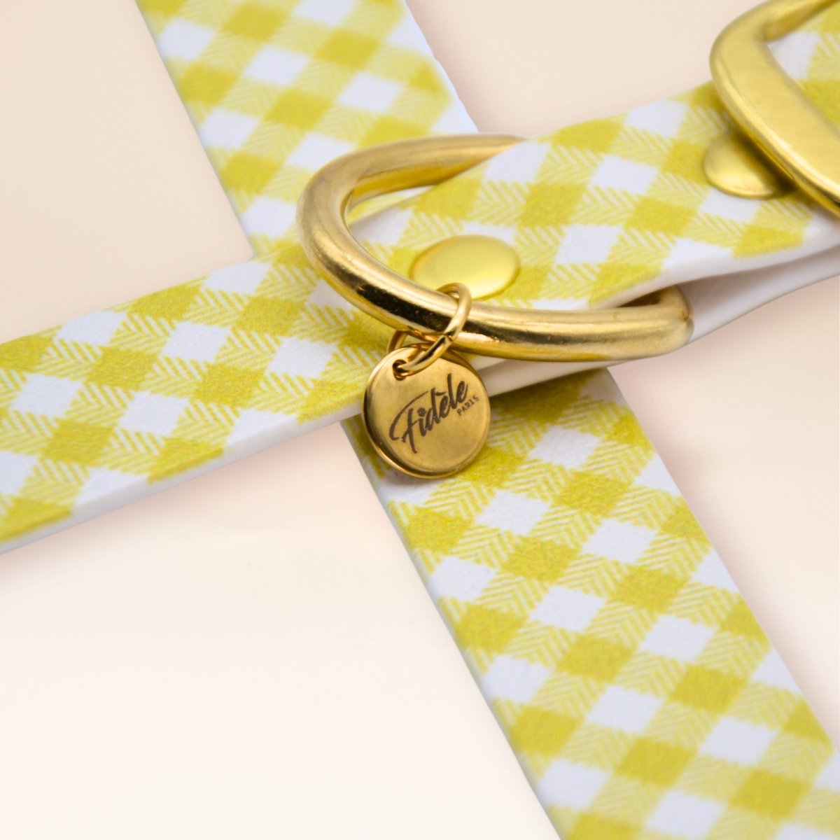 fid-le-paris-l-audacieux-collier-chien-vichy-jaune-imperm-able image 3