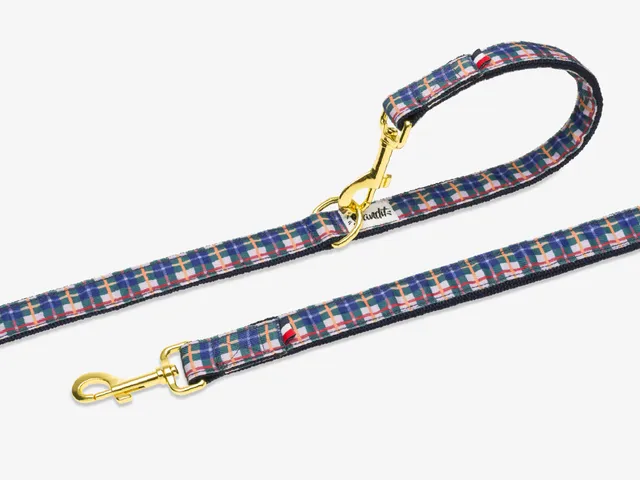bandit-tartan-lilas-laisse-chien-120-cm-violette-boucle-dor-e image 1