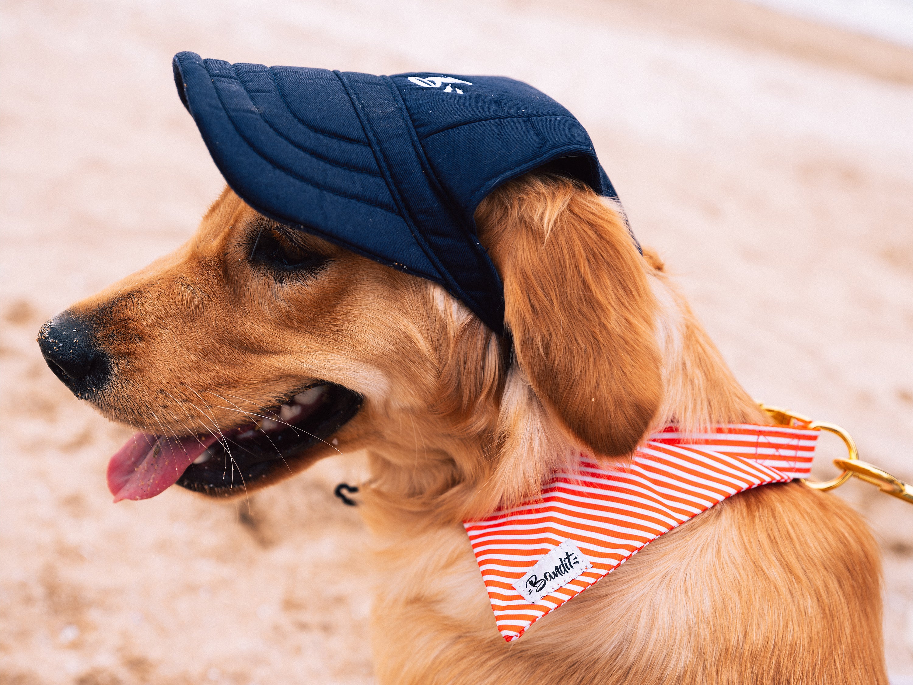 bandit-casquette-pour-chien-chapeau-bleu-marine-uv-taille-s image 4