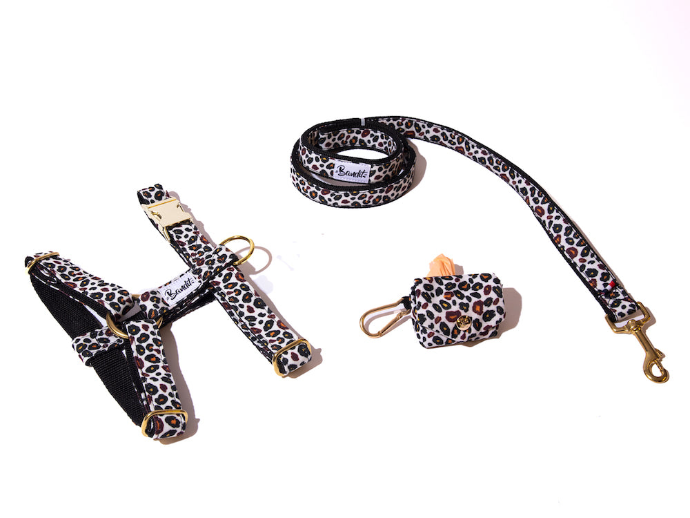 bandit-les-kits-harnais-laisse-pochette-ensemble-chien image 4