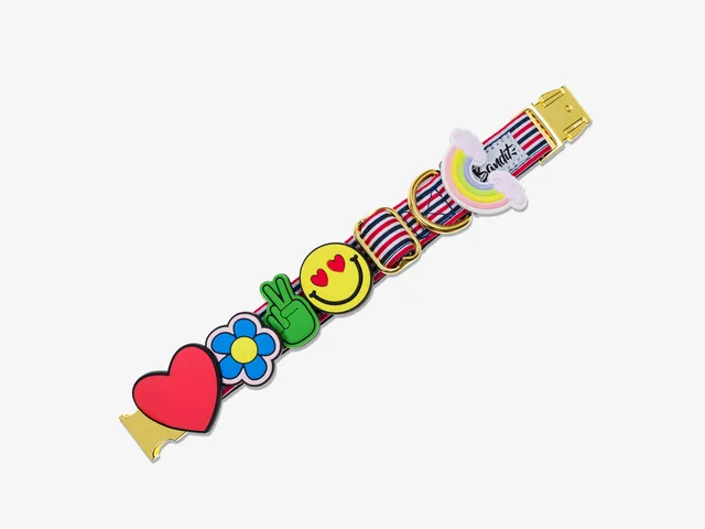 bandit-pack-5-charms-silicone-collier-chien-lifestyle image 1