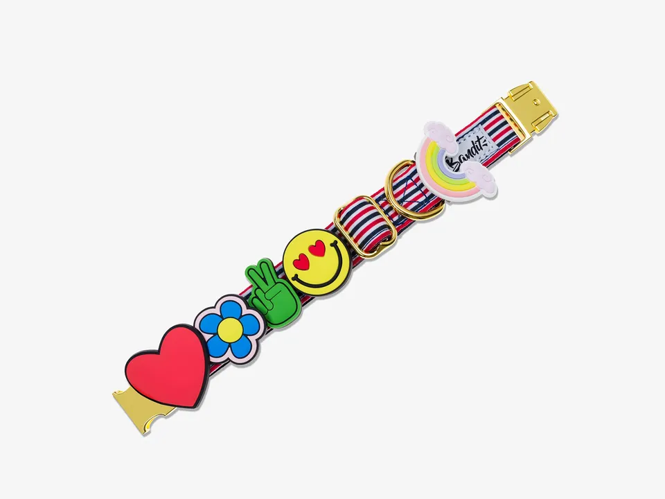 bandit-pack-5-charms-silicone-collier-chien-lifestyle image 1