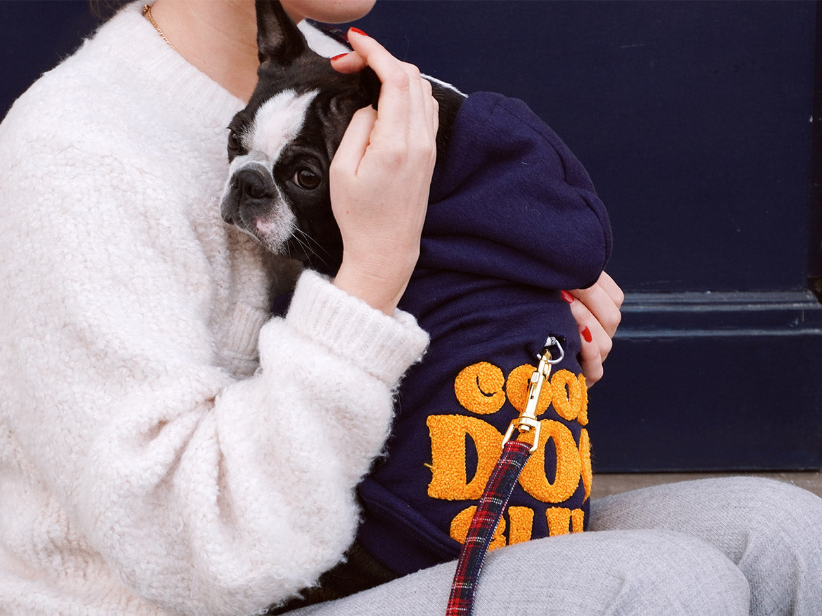 bandit-cool-dog-club-sweat-pour-chien-capuche-bleu-marine image 2