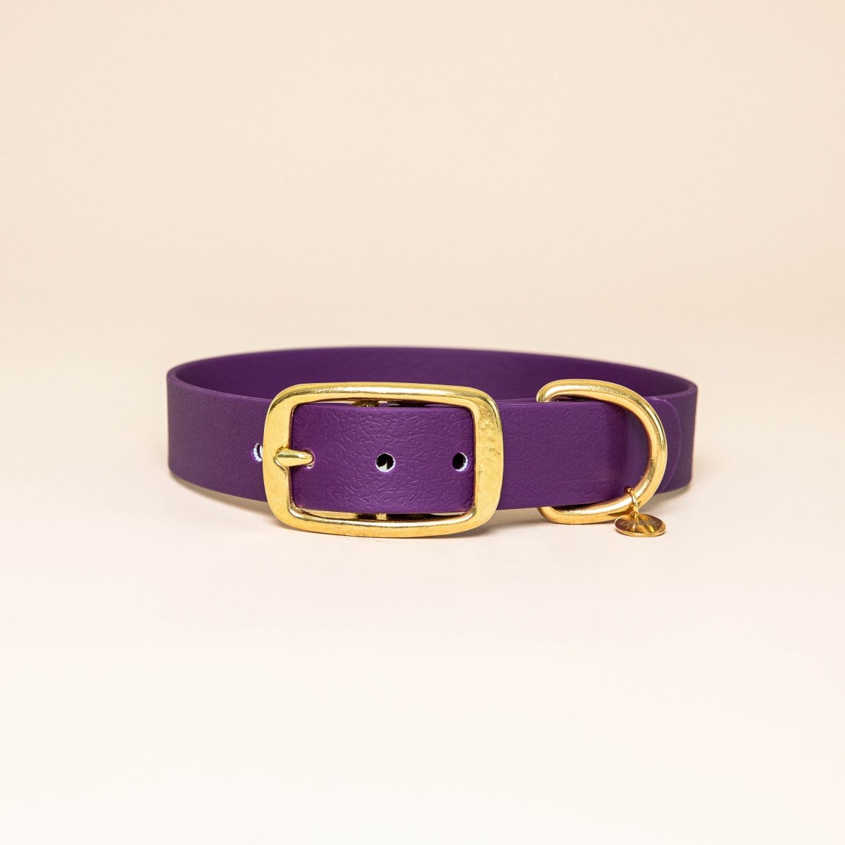 fid-le-paris-l-aventurier-collier-chien-violet-imperm-able image 1