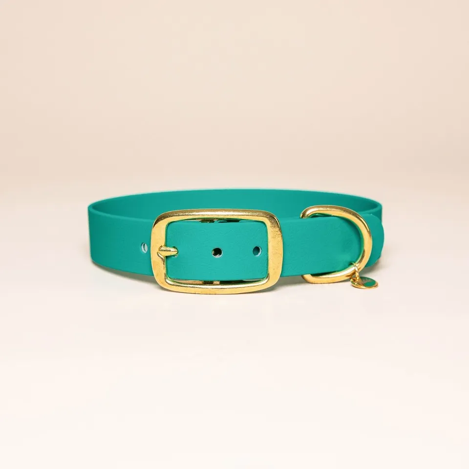 fid-le-paris-colliers-collier-chien-bleu-paon-laiton image 1