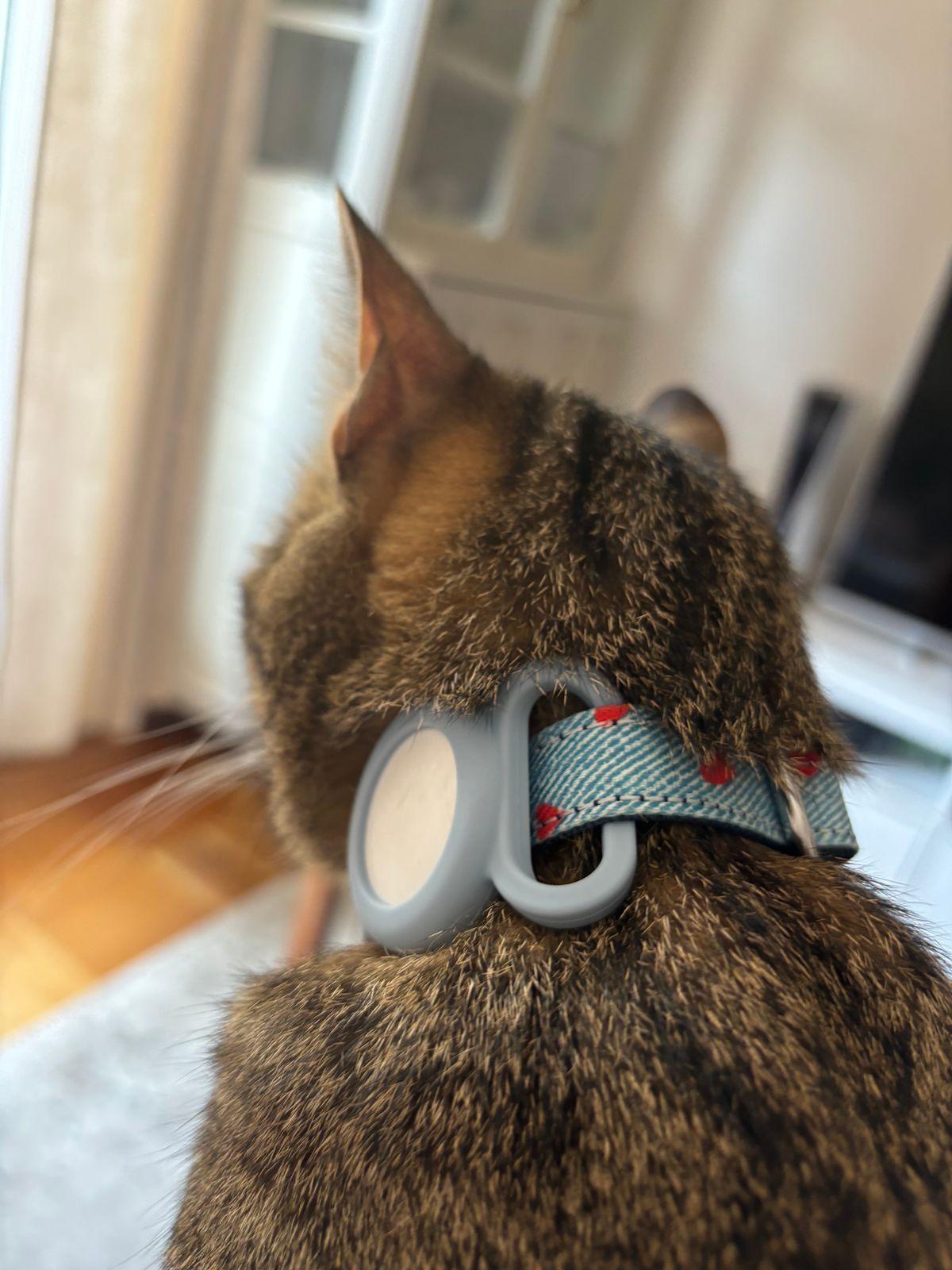 Discret