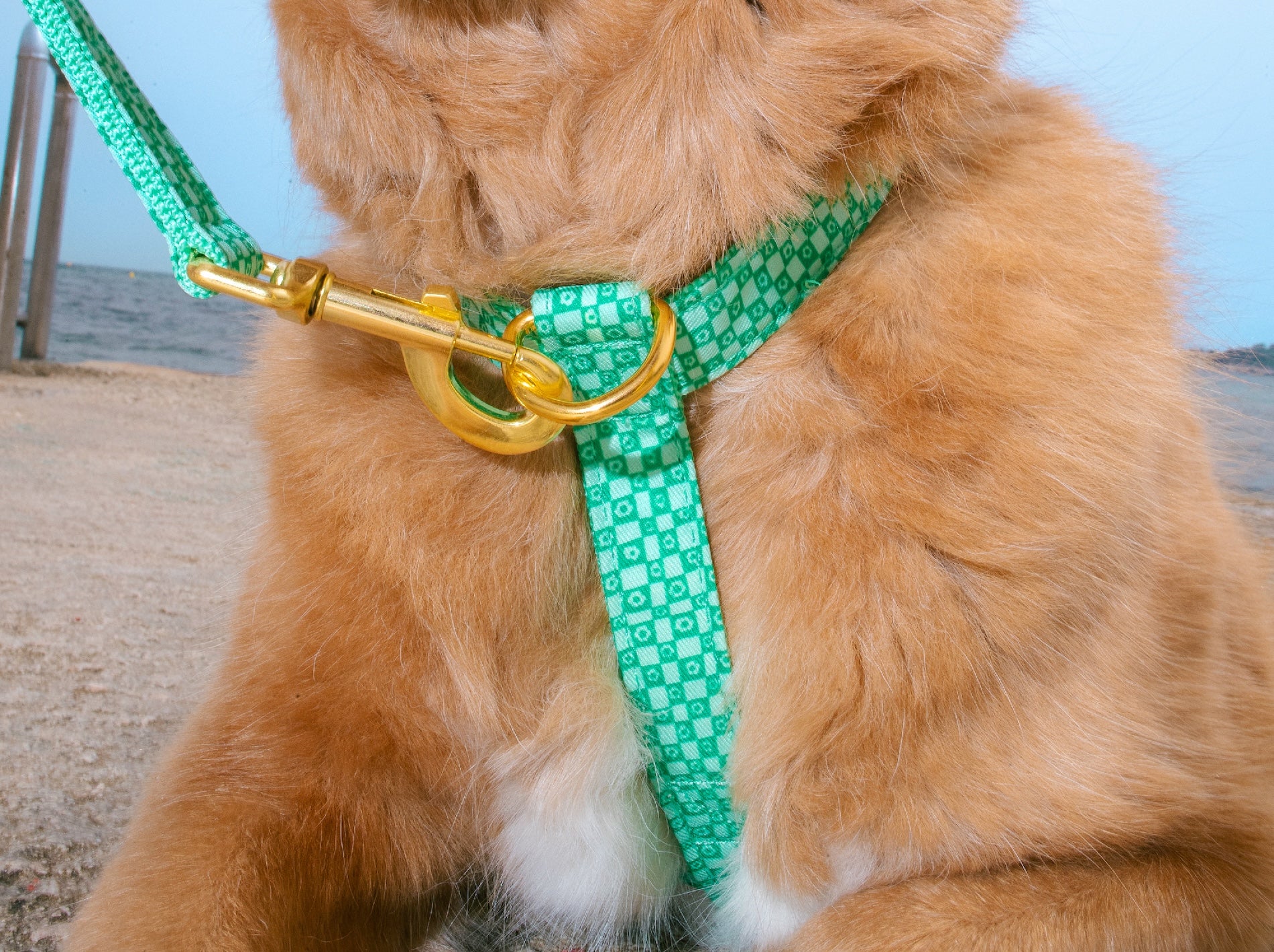 bandit-green-vibes-only-harnais-chien-carreaux-verts-m image 2