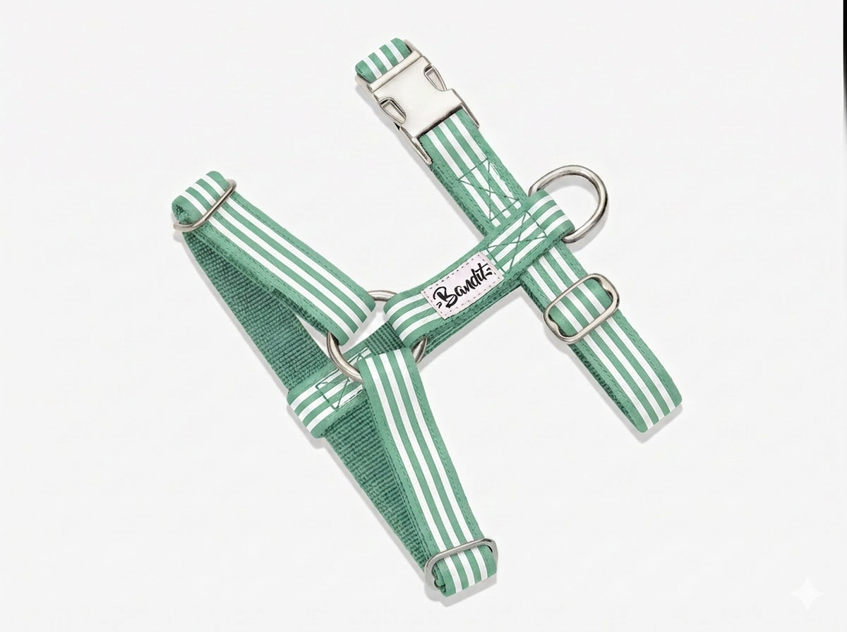 bandit-harnais-menthe-l-eau-harnais-chien-ray-vert image 1