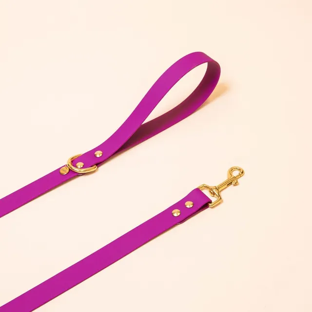 fid-le-paris-l-aventurier-laisse-chien-rose-fuchsia-imperm-able image 1