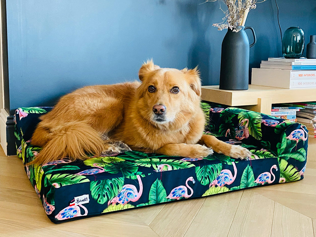 bandit-panier-chien-flamants-roses-couchage-mousse-matelas image 3