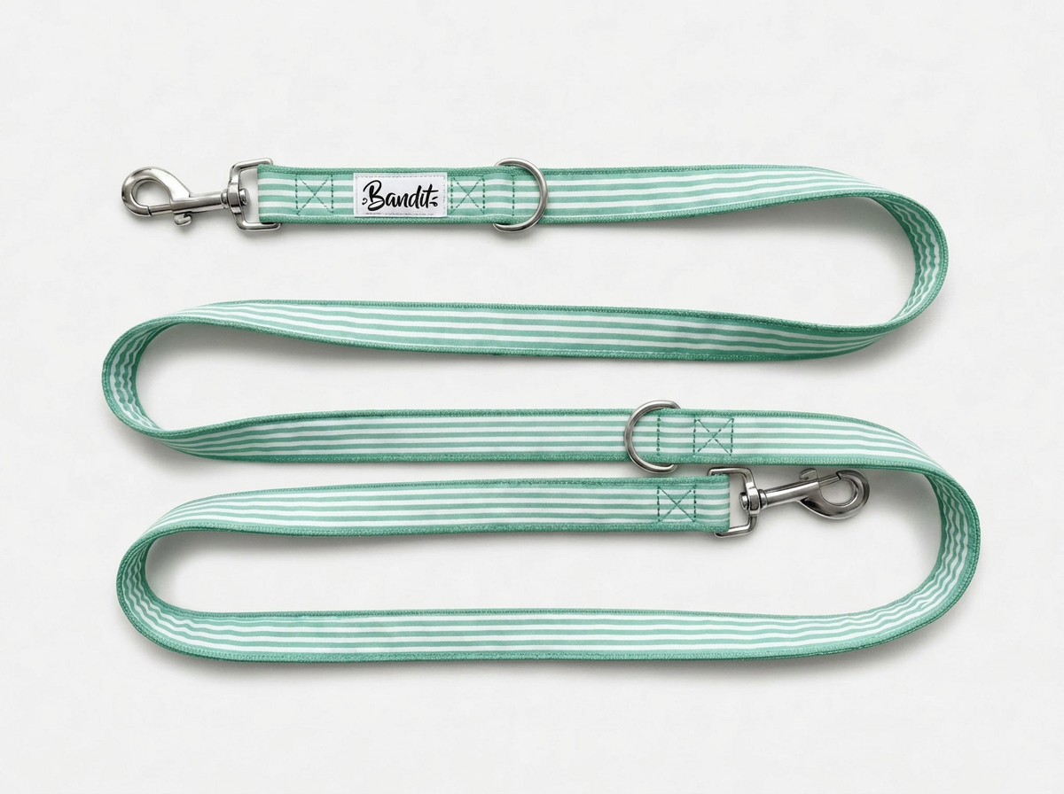 bandit-laisse-pour-chien-ray-e-menthe-120-cm-nylon image 2