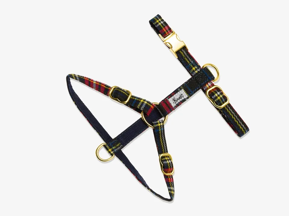bandit-harnais-pour-chat-tartan-harnais-cossais-avec-laisse image 1
