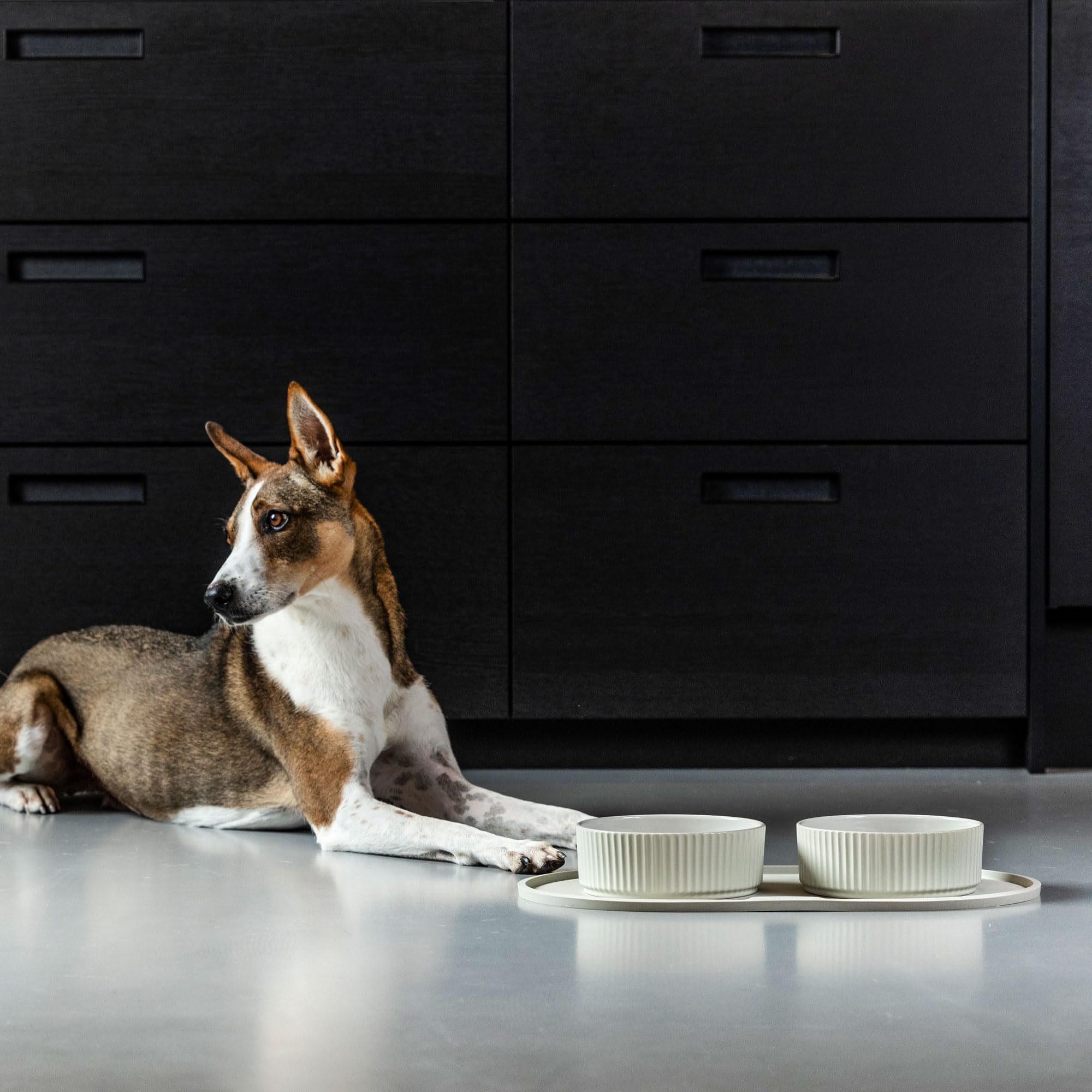 dog-copenhagen-kronborg-bowl-gamelle-l-blanche-off-white image 6