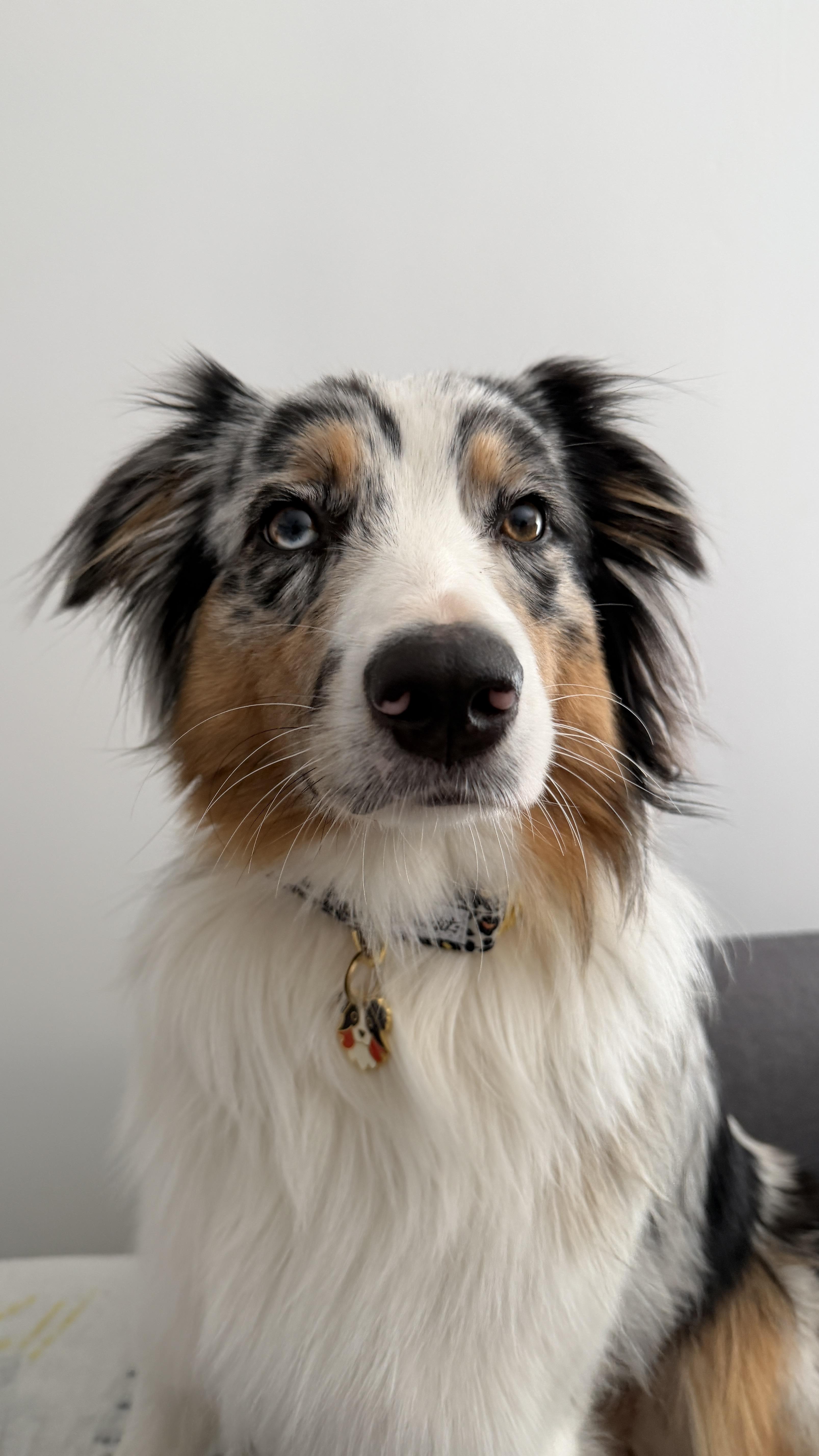 Léger