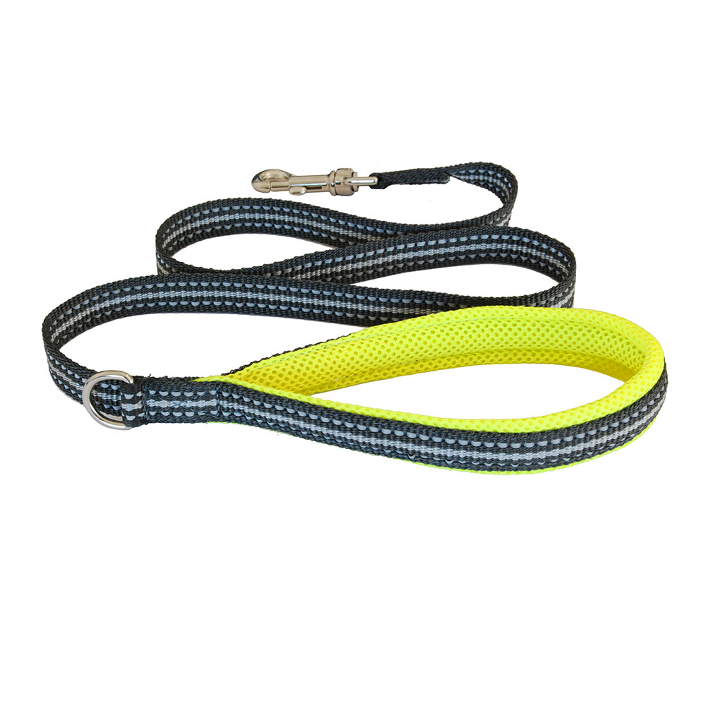 coralpina-cortina-laisse-chien-promenade-l-g-re image 1