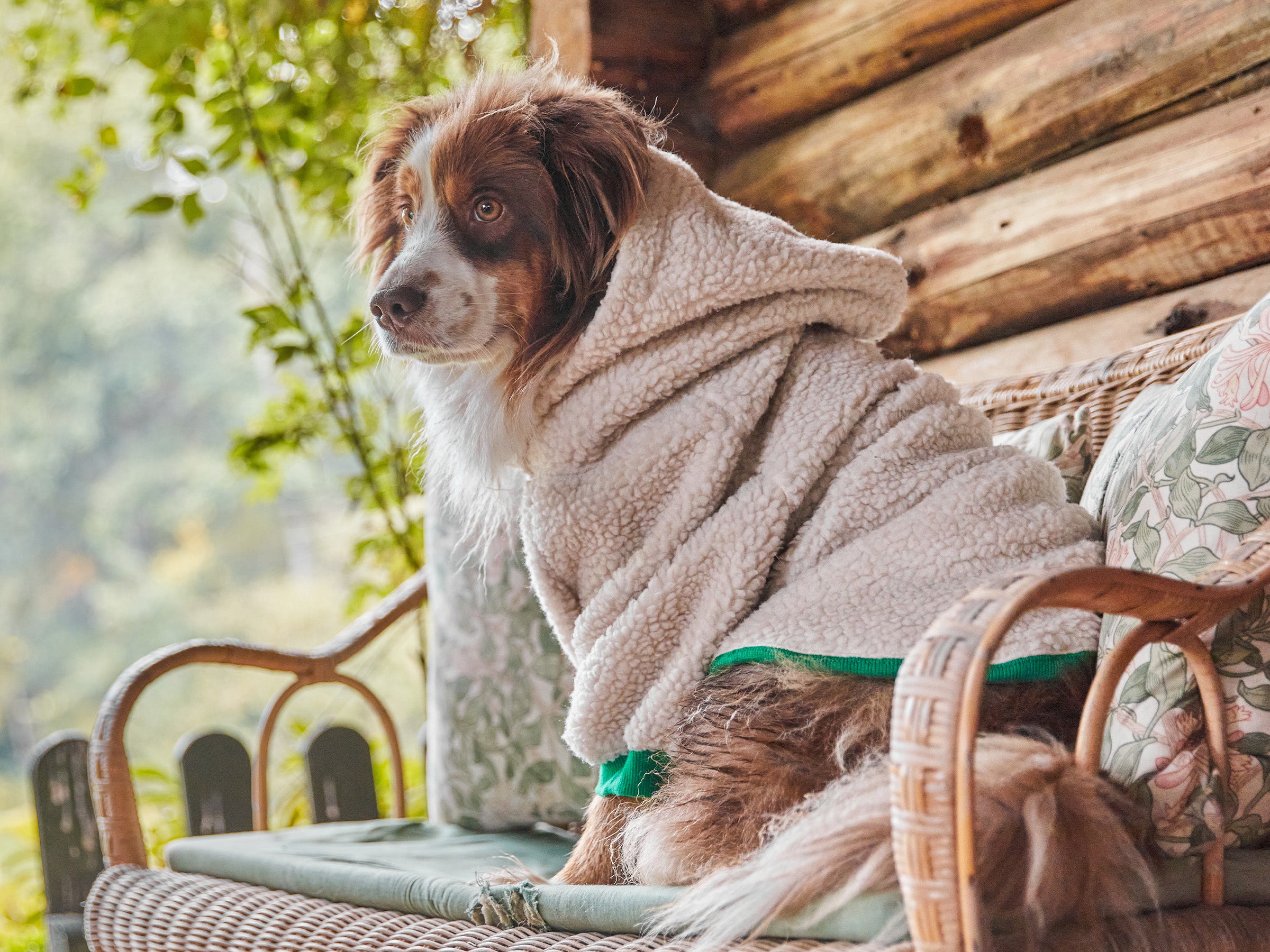 bandit-v-tements-hoodie-sherpa-pull-chien-bleu-everest-m-chaud image 6