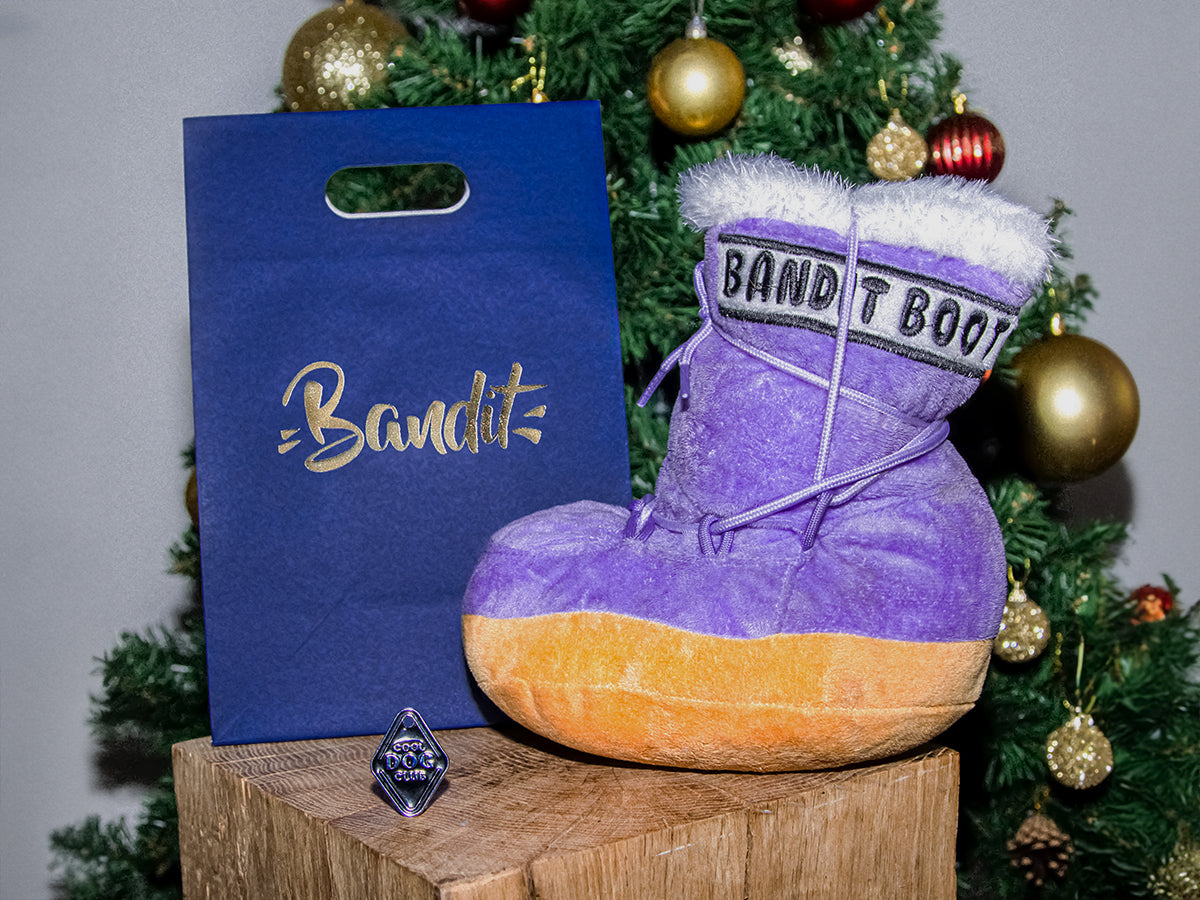 bandit-ski-addict-coffret-chien-jouet-m-daille image 1
