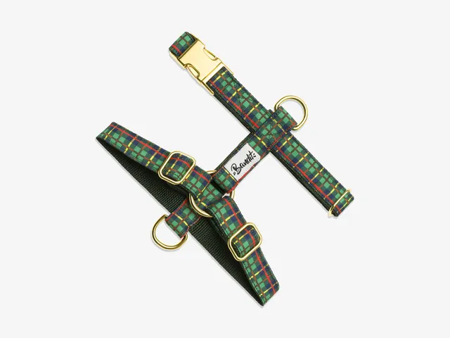 bandit-tartan-vert-harnais-chien-moyen-motif-tartan image 1