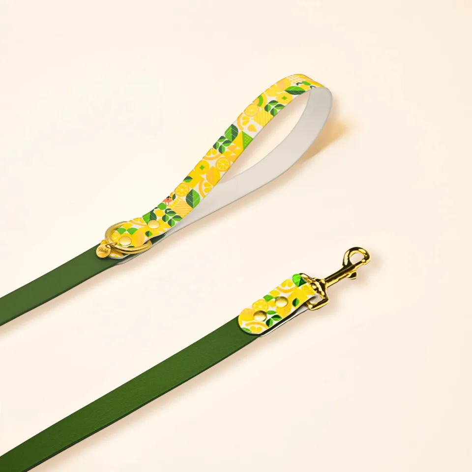 fid-le-paris-lemon-laisse-chien-olive-dition-limit-e image 1