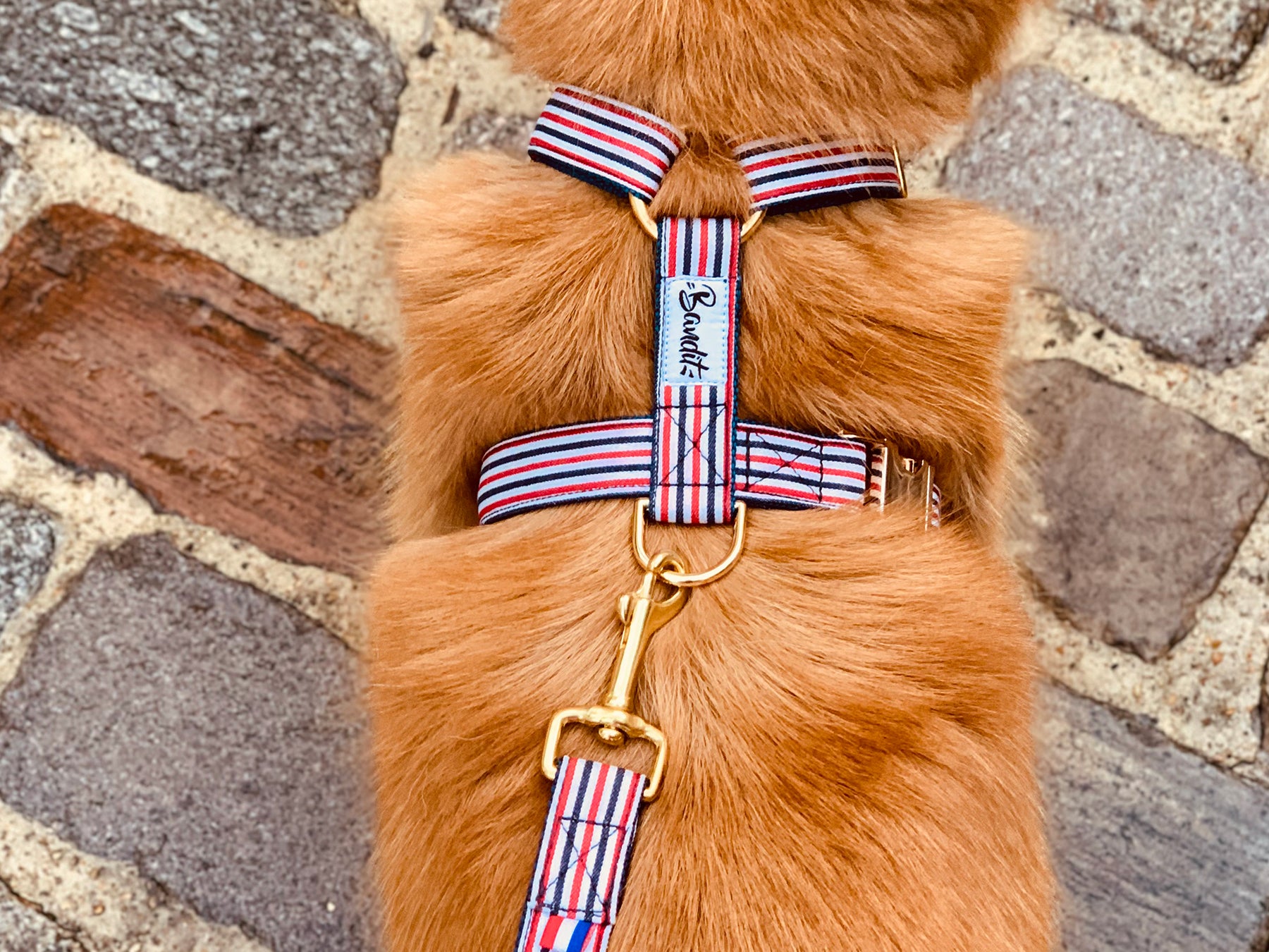 bandit-harnais-bleu-blanc-rouge-harnais-chien-nylon-t-moyen image 2