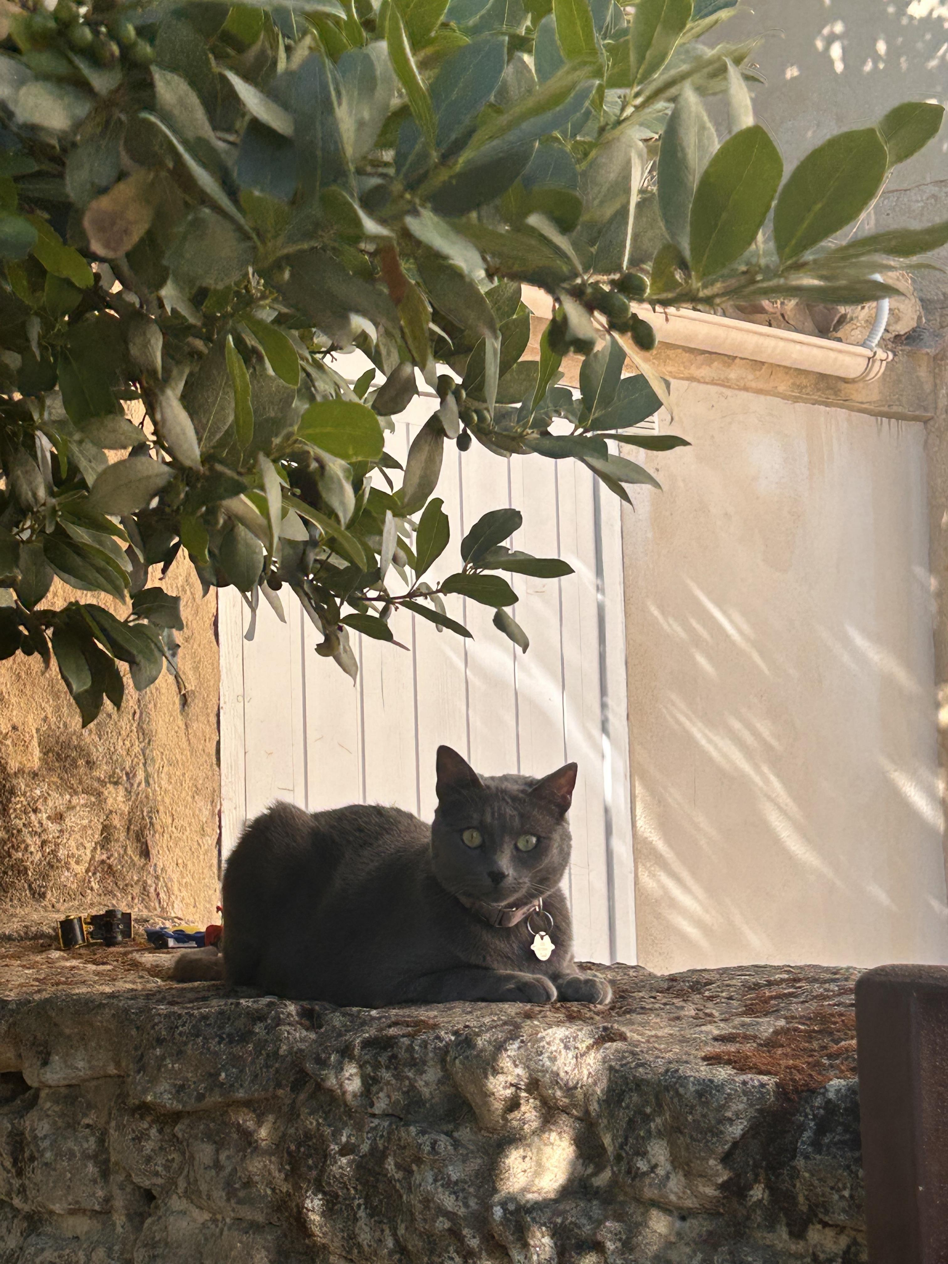 Légère