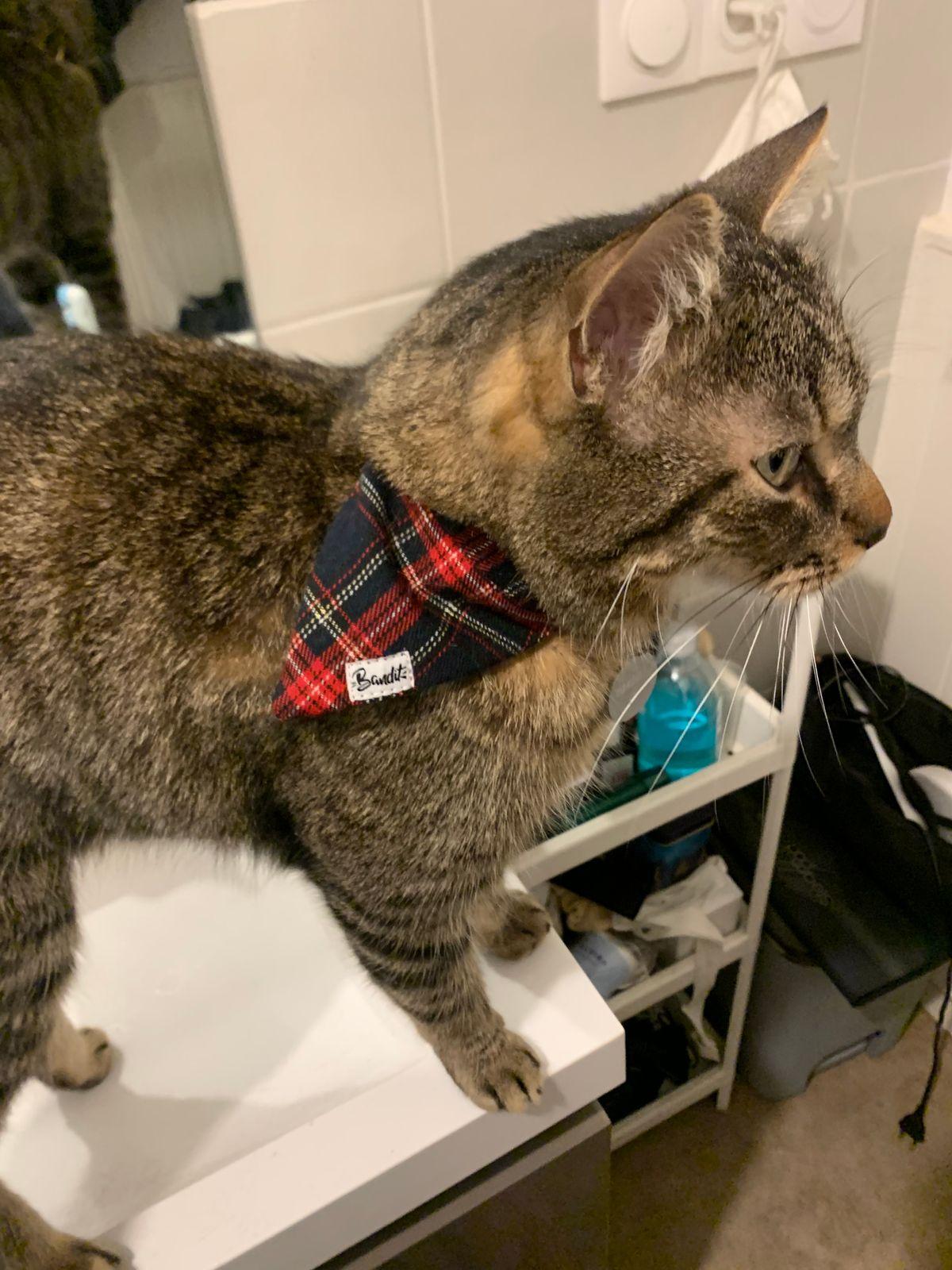 Très chic