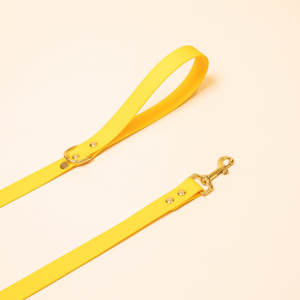 fid-le-l-aventurier-laisse-chien-jaune-20-mm-imperm-able image 1