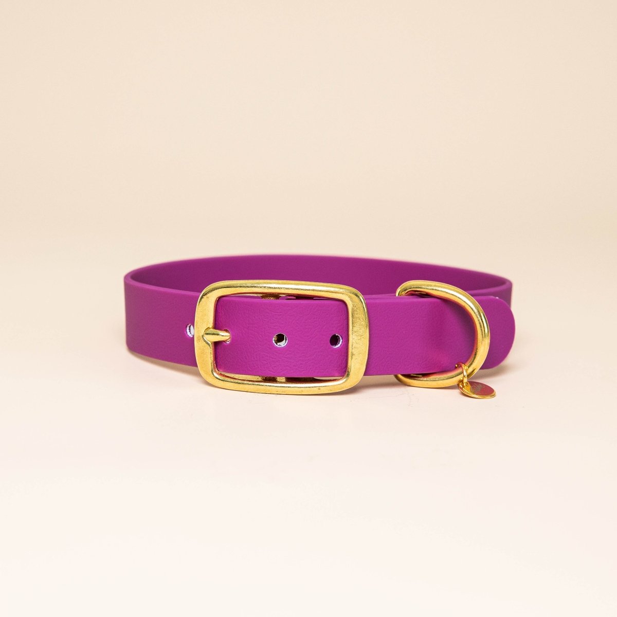 fid-le-paris-aventurier-collier-chien-rose-fuchsia-s-28-34-cm image 1