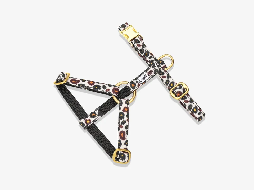 bandit-harnais-pour-chat-motif-l-opard-harnais-chat-avec-laisse image 1
