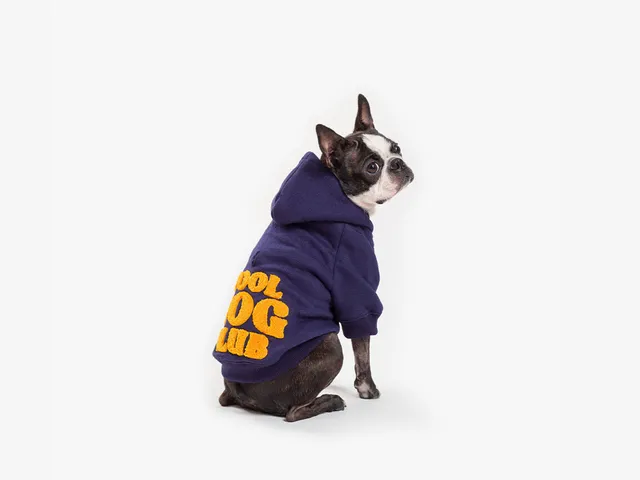 bandit-cool-dog-club-sweat-pour-chien-capuche-bleu-marine image 1