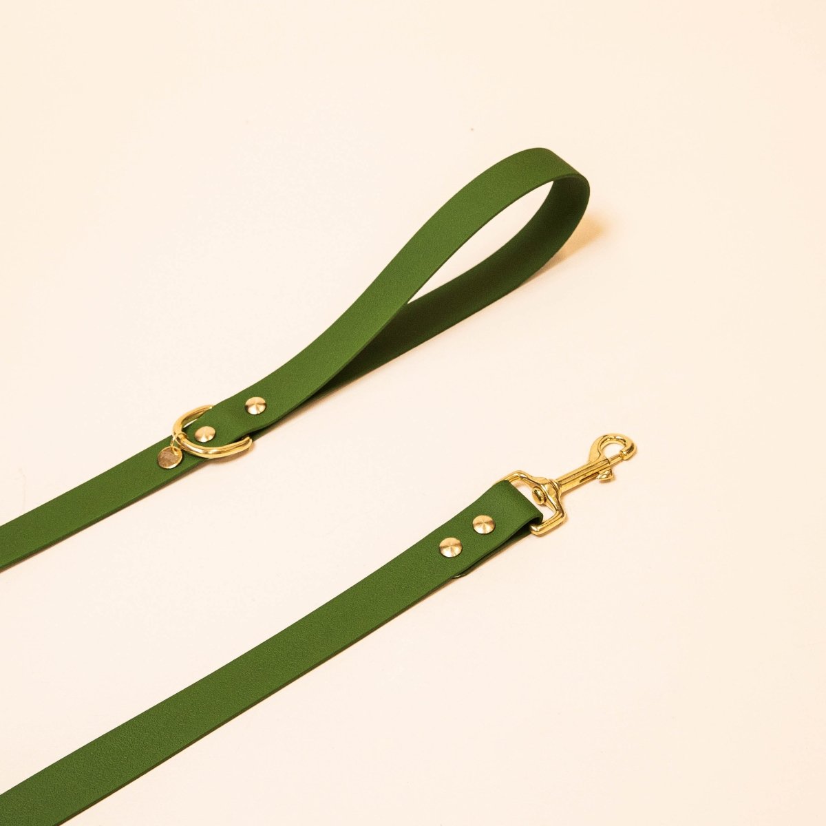 fid-le-paris-l-aventurier-laisse-chien-vert-olive-tpu-laiton image 1