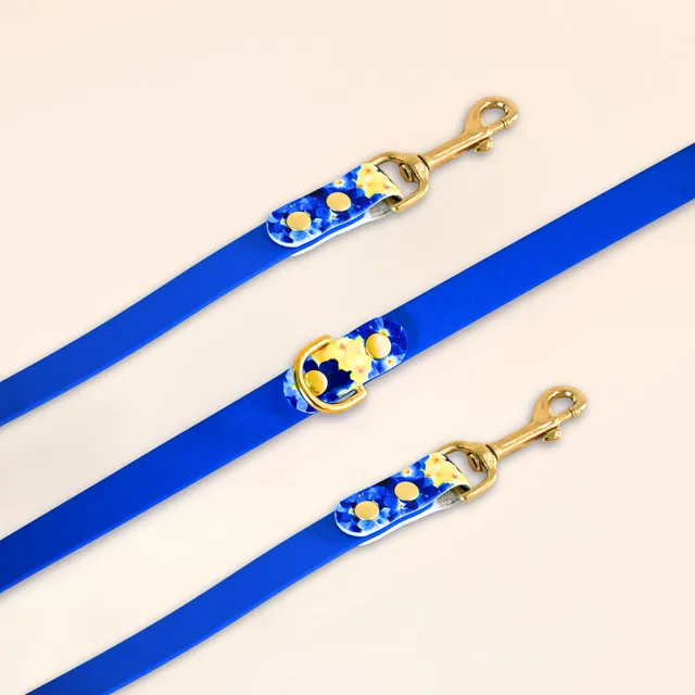 fid-le-paris-laisse-bloom-bleu-floral-multi-positions-16mm image 1