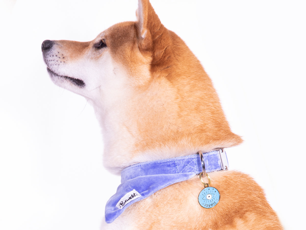 bandit-m-daille-cosmique-m-daille-chien-standard-3-cm-il image 2
