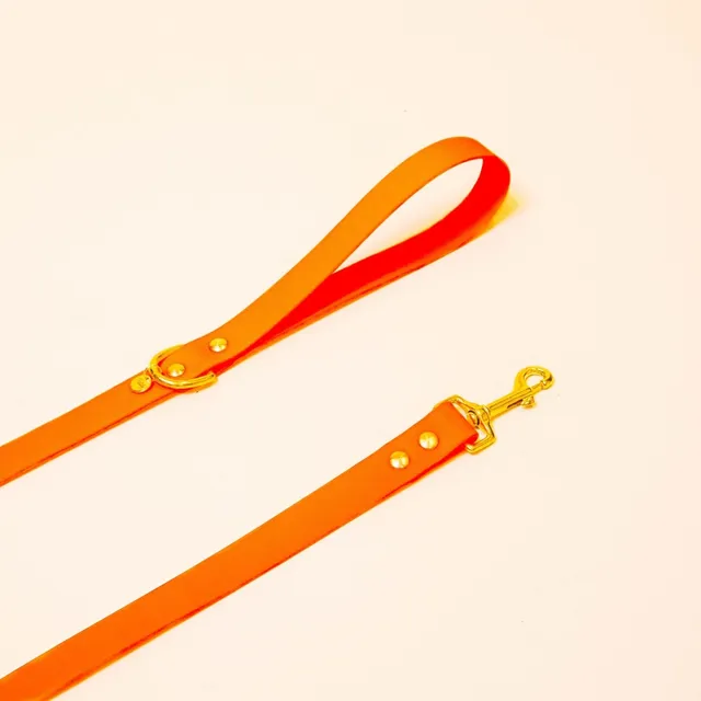 fid-le-paris-l-aventurier-laisse-chien-orange-fluo-20-mm image 1
