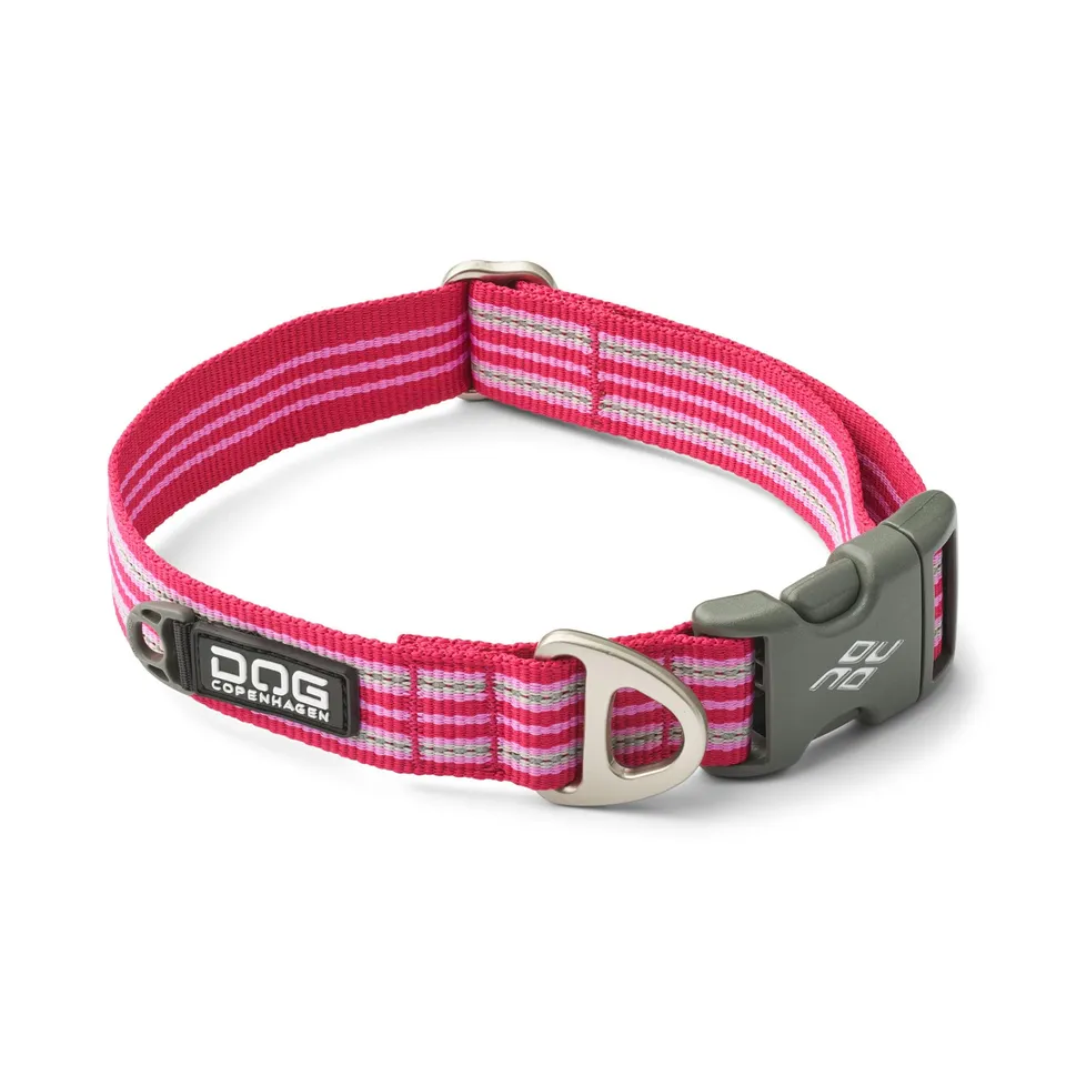 dog-copenhagen-urban-style-3-0-collier-chien-rose-m-r-glable image 1