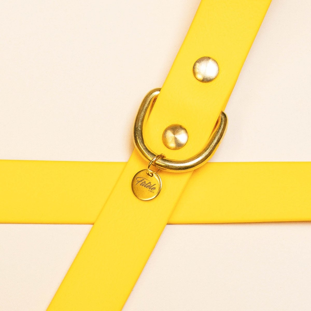 fid-le-paris-laisse-multi-positions-jaune-20-mm-imperm-able image 3