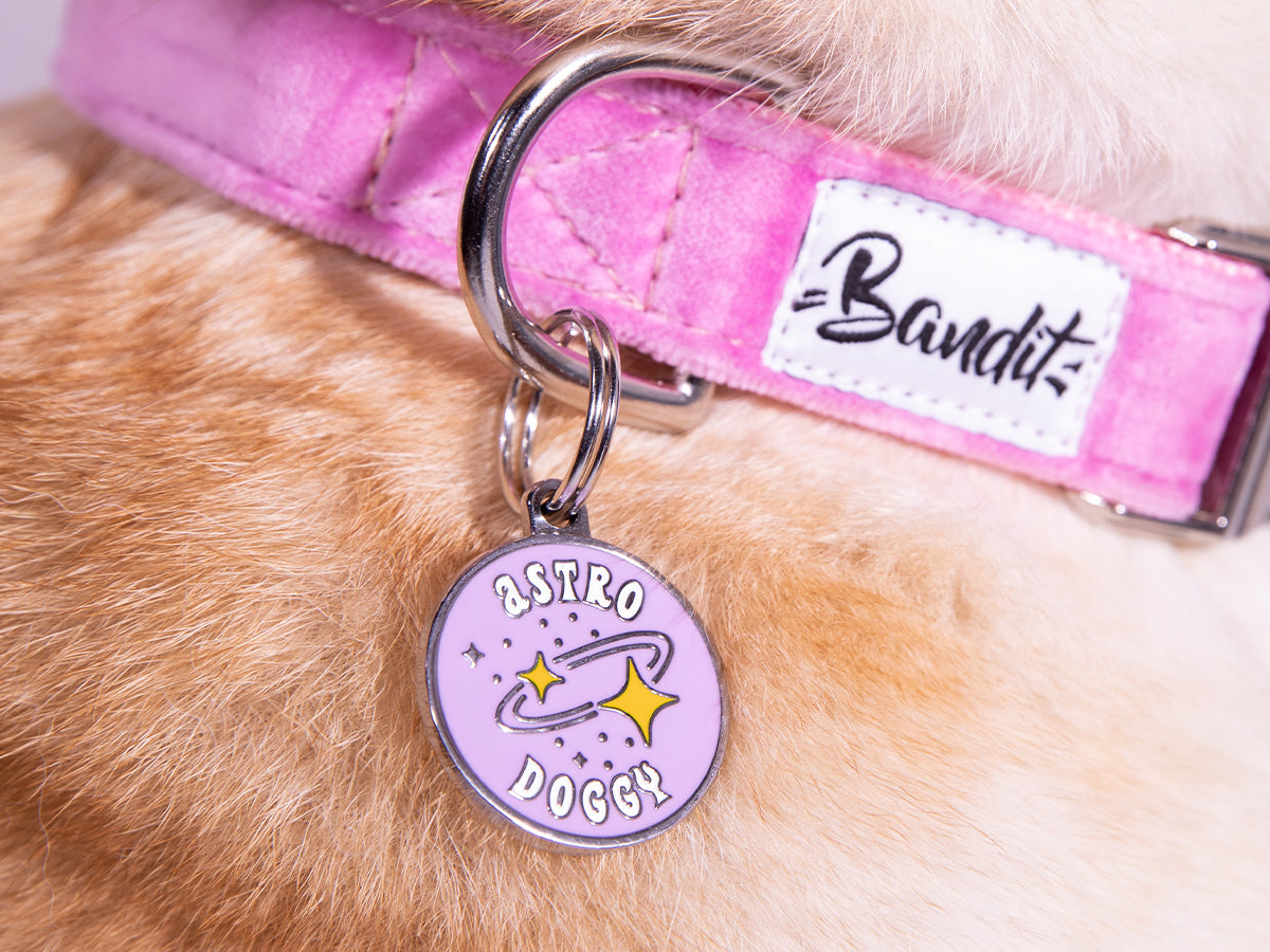 bandit-m-dailles-pour-chien-m-daille-astrologie-gravable-toiles image 3