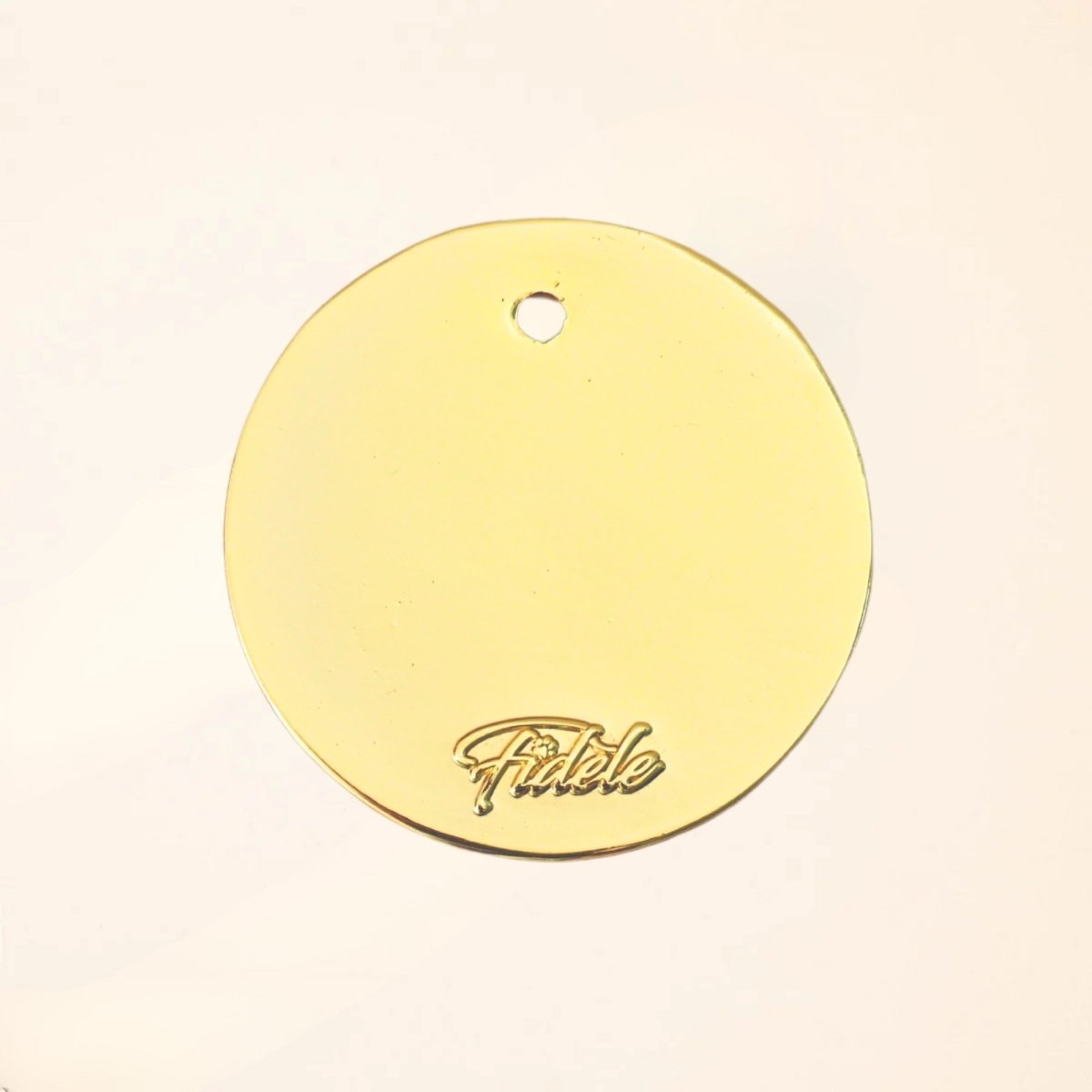 fid-le-m-dailles-star-du-quartier-m-daille-chien-terracotta image 2