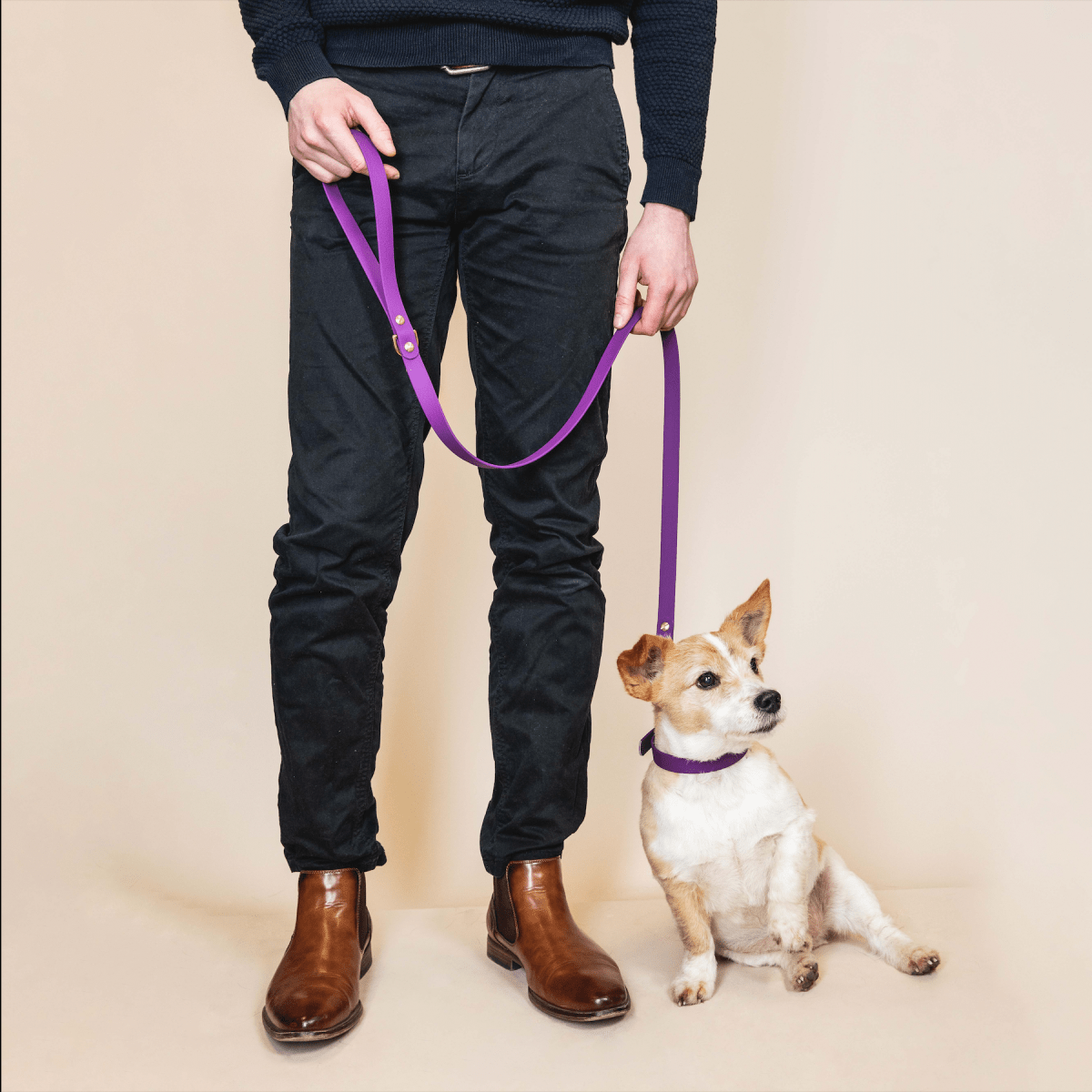 fid-le-paris-l-aventurier-laisse-chien-violet-20-mm-imperm-able image 2
