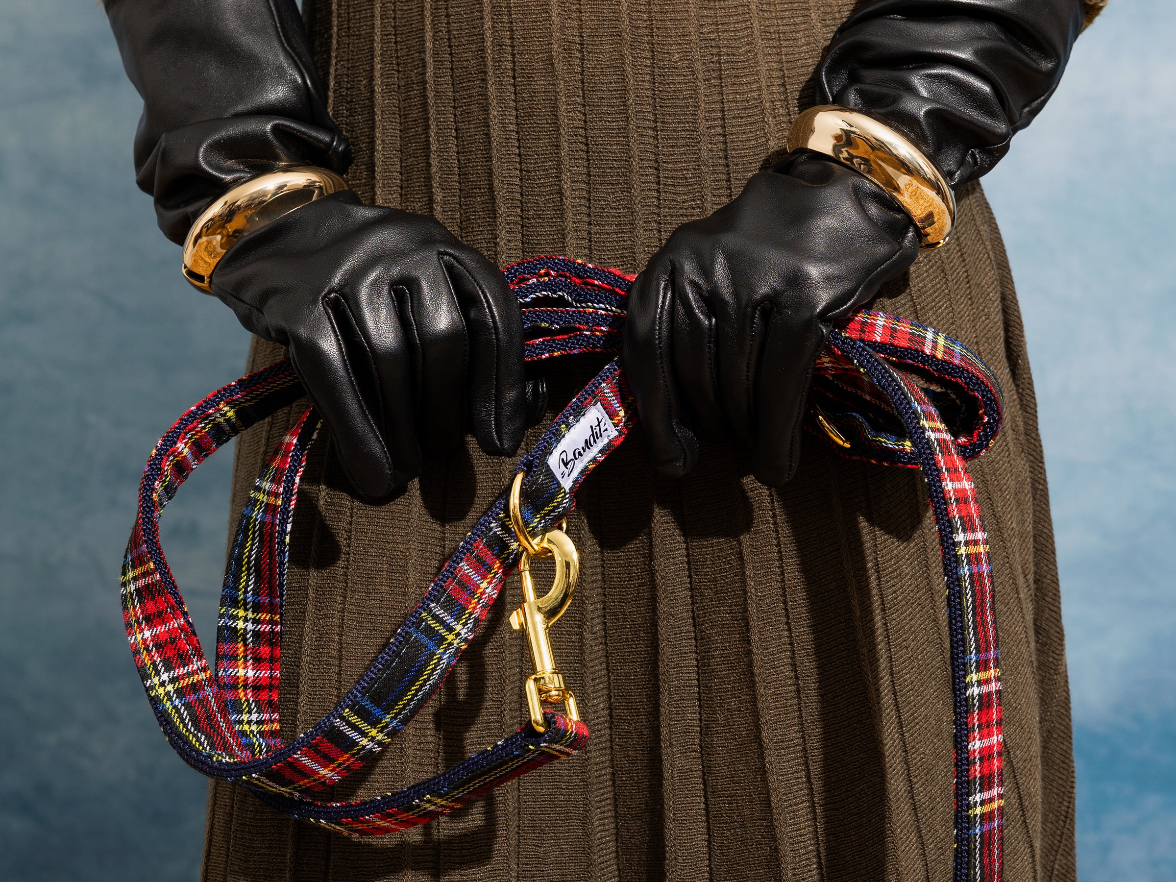 bandit-laisse-chien-tartan-oh-my-lord-120-cm image 2