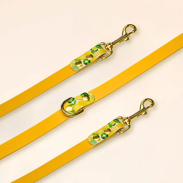 fid-le-paris-laisse-multi-positions-lemon-jaune-biothane image 1