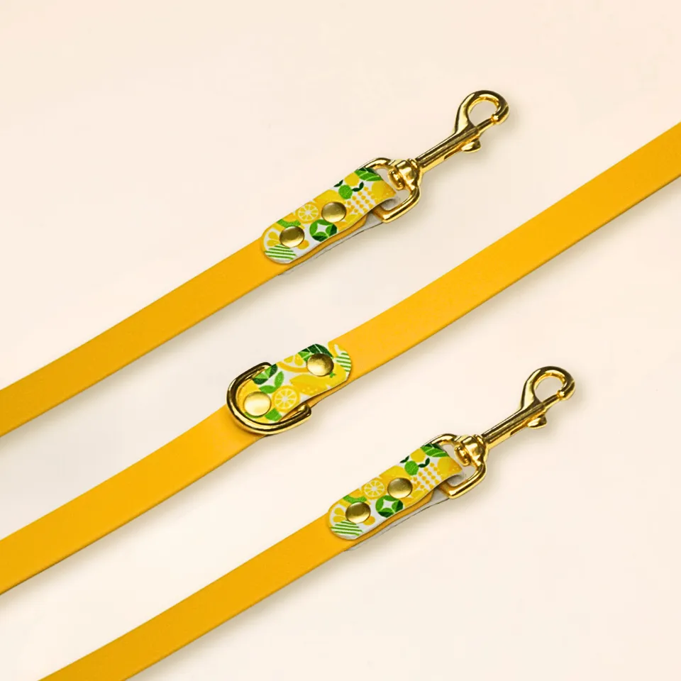 fid-le-paris-laisse-multi-positions-lemon-jaune-biothane image 1