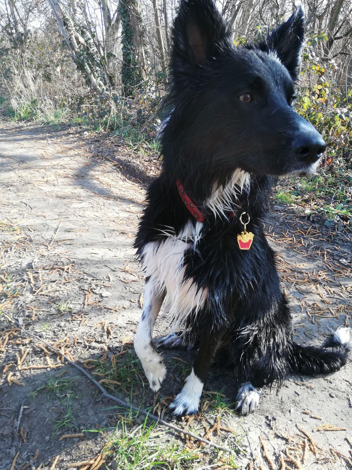 Succès au parc