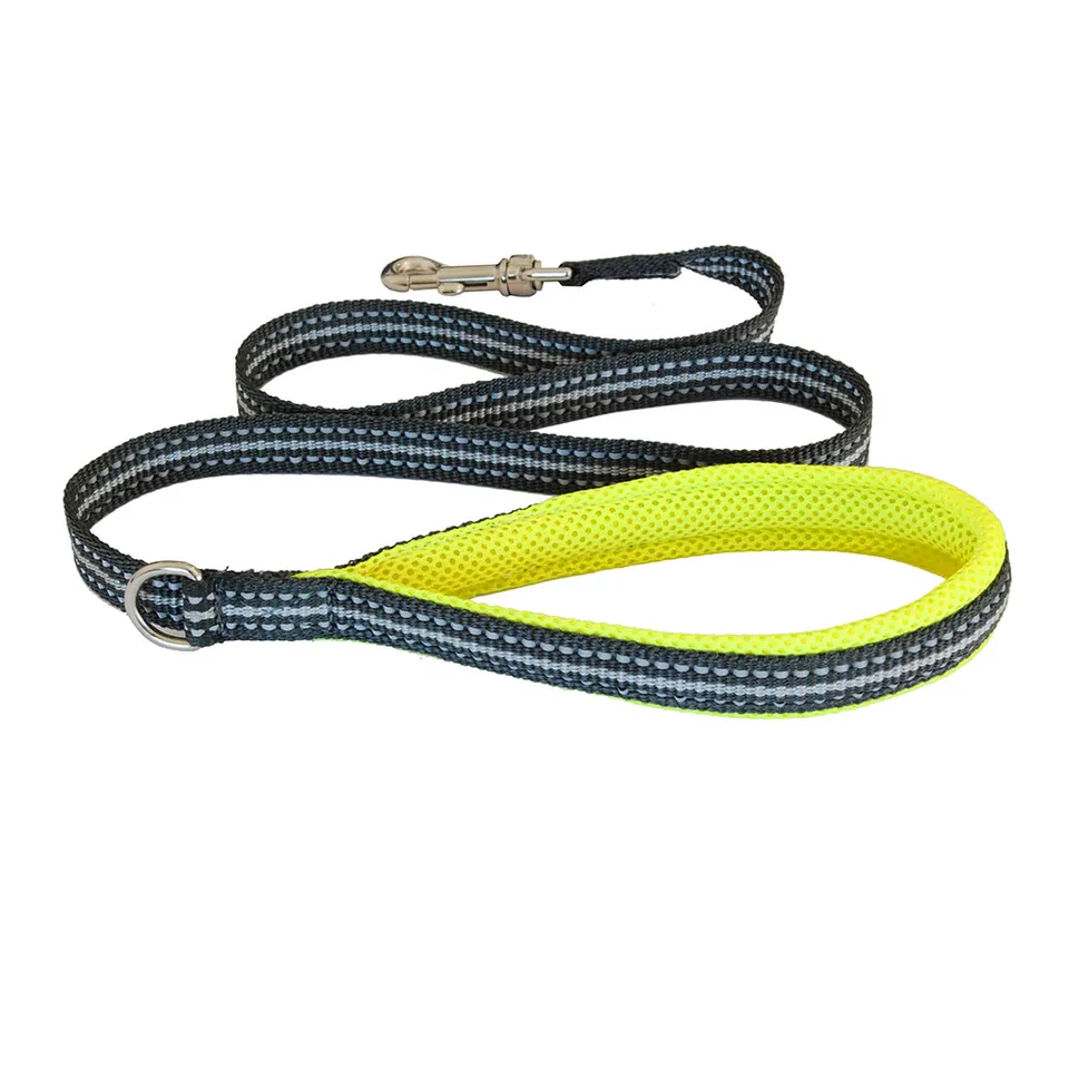coralpina-cortina-laisse-chien-promenade-l-g-re image 1