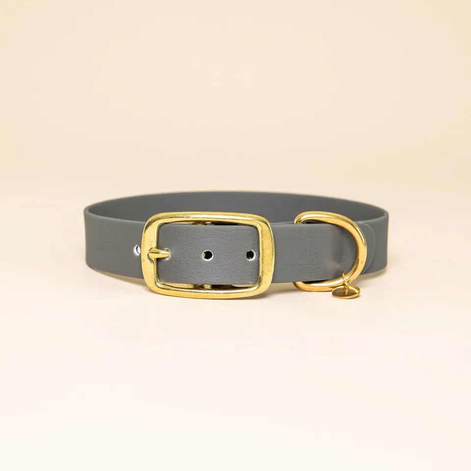 fid-le-paris-colliers-l-aventurier-collier-chien-gris-acier image 1