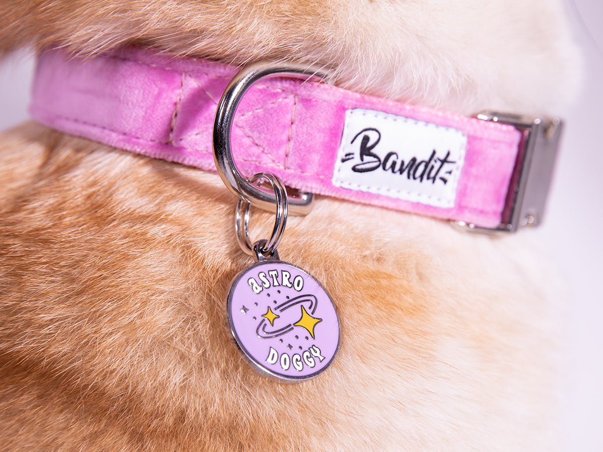 bandit-m-dailles-pour-chien-m-daille-astrologie-gravable-toiles image 2